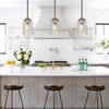 Anmire 2 Pack Clear Seeded Glass Shade, Modern Light Fixture