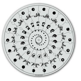 Plastic Waffles DJ Follow The Wolf #3 Animated Slipmat Turntable 12" LP Record Player Audiophile