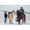 TrailMax Large Horn Saddle Bags; Horn Saddle Bags for Horses;