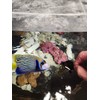 Green Seaweed Sheets 25 Package of 4” x 7.5” Nori