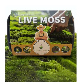 LUCKY PLANT Live Moss for Reptiles - Terrarium Moss for Reptiles Peat Moss for Reptiles Habitat Bedding Moss for Snakes Turtle Frog Gecko and Other Reptiles Substrate 50 Square inches Live Moss