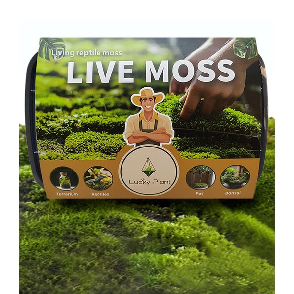 LUCKY PLANT Live Moss for Reptiles - Terrarium Moss for