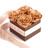 Infinity Rose Box 4 Real Roses Preserved Golden Wedding Gift