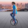 LyeXD 20Inch Outdoor Wheel Unicycle, One Wheel Bike Adjustable Seat