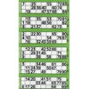 Jumbo Bingo Ticket Singles, 6 to View Pad, Green