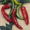 Anaheim Chili Hot Pepper Garden Seeds - 1 Gram Packet