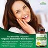 Zazzee USDA Organic Dandelion Root 10:1 Extract, 180 Capsules, 6