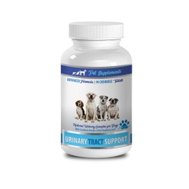 PET SUPPLEMENTS Dog Urinary Tract - Dog Urinary Tract Support - Powerful Complex - Chews - Dog Cranberry Relief - 1 Bottle (90 Treats)