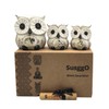 SusggO Set of 3 Decorative Wooden Owls, Decoration, Hand-Carved, Lucky