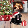 Christmas Pups Pop Up Card