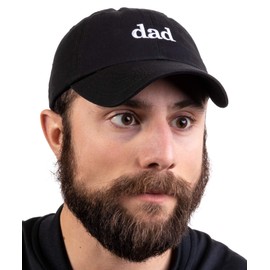Ann Arbor T-shirt Co. Dad Hat | Funny Embroidered Baseball Cap Gift for Men Daddy Husband Father Joke - Black