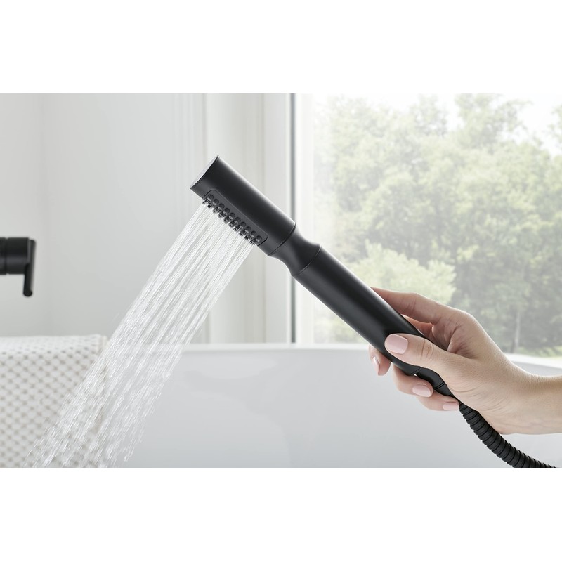 Gerber Plumbing Showerstick Hand Shower