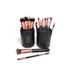 DS BEAUTY 14 Piece Professional Make Up Brushes Set -