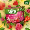 LOYD Tea - Raspberry and Strawberry (6 Pack​)