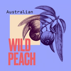 Aussie Colour Mate Treatment, Colour Safe Treatment for Coloured Hair that Refuses to be Dull, 250 ml