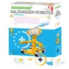 4M Green Science Salzwasser Roboter Experimentierkasten für Kinder - DIY