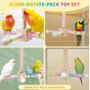 VOXGET Bird Stand Perch Toy Set for Cage, Parrot 360°