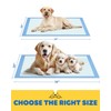 50-Pack X-Large Puppy Pads - 34" x 28" Pee Pads