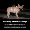 Huntboo Escape Proof Harness, No Slip Dog Harness Escape Proof,