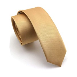 JEMYGINS 2.4" Gold Tie Silk Skinny Ties for Men Slim Necktie (6cm)