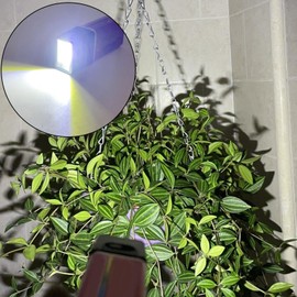 Little Flashlights - LED Handheld Flashlight | Pocket Size Lamp Bright Torch for Outdoor Camping Fishing Hiking Hunting Backpacking Night Activities