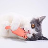 YuCool 5 Pcs Catnip Toys for Indoor Interactive Cat Chew