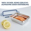 Emsa N11506 Clip & Close Stainless Steel Food Storage Container,