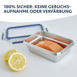 Emsa N11506 Clip & Close Stainless Steel Food Storage Container, Rectangular, Capacity: 2.0 L, Sustainable, Lightweight Stainless Steel, Leak-Proof, Frost-Proof, Dishwasher-Safe, Oven-Safe, Stainless Steel, Blue