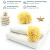 Natural Mediterranean Body Sponge Non Synthetic (11-12cm with Cord)