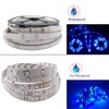 FOLGEMIR 5 m LED Strip, Blue 2835 SMD 300 LEDs