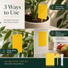 Qualirey Yellow Sticky Traps for Indoor & Outdoor Plants