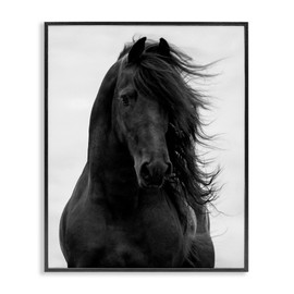 Stupell Industries Black Stallion Horse Portrait Soft Grey Sky Photography, Design by Carol Walker Framed Wall Art, 16x20
