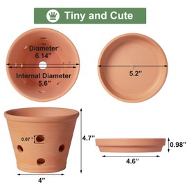 6 Inch Terracotta Orchid Pots with Holes, Saucers - 3 Pack Clay Orchid Planter Pots for Repotting, Small Terra Cotta Pot, Indoor & Outdoor, Promotes Air Circulation