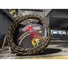 Pig Hog PCH20RAR Cable de instrumento de guitarra de rayas