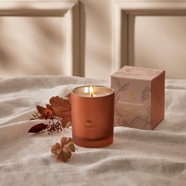 Thymes Pumpkin Laurel Votive Candle - Scented Candle for Home Fragrance - Single-Wick Candle (2 oz)