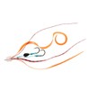 Daiwa Tairaba Red Fang Unit βSS Nakai Red Z Kongo