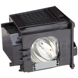 BORYLI Compatible with 915P049010 Replacement Lamp with Housing TV Assembly Cage with TV Bulb