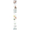 Cibasan Boquer Liposome Tea Tree Essence 50ml Cibasan Sample Pouch