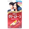 Vigen Bigen Cream Tone 5G Dark brown (60g of agent 1 + 60g of agent 2) 5G / 비겐 크림톤 5G 진한밤색 (1제 60g + 2제 60g) 5G