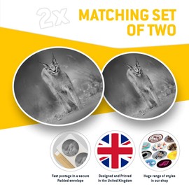 Awesome Vinyl Stickers (Set of 2) 30cm BW - Caracal African Lynx Cat Fun Decals for Laptops,Tablets,Luggage,Scrap Booking,Fridges #38978