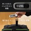 dretec Luggage Scale Backlight Silver