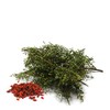 [Medicinal Korean Herb Tea] 100% Natural Oriental Wormwood Tea (Lycii