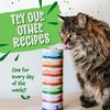 Earthborn Holistic Earthborn Holistic Chicken Catcciatori Grain-Free Moist Cat Food