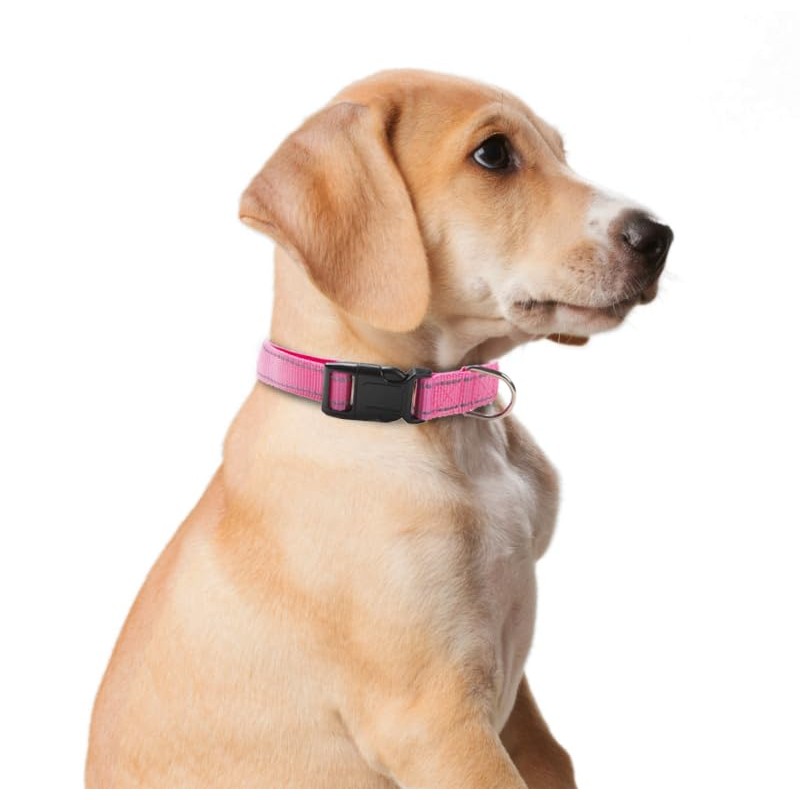 OEFEO Reflective Dog Collar for Small,Medium, and Large Dogs,Ajustable Nylon
