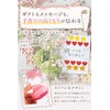 Fogman Craft Punch, Flower, Star, Round, Square, Large Size, Die