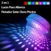 Luces Para Alberca,flotador Solar Cloro Piscina,accesorios