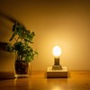 Sunaiony G16.5 Light Bulb 40 Watt Equivalent E12 Candelabra Base