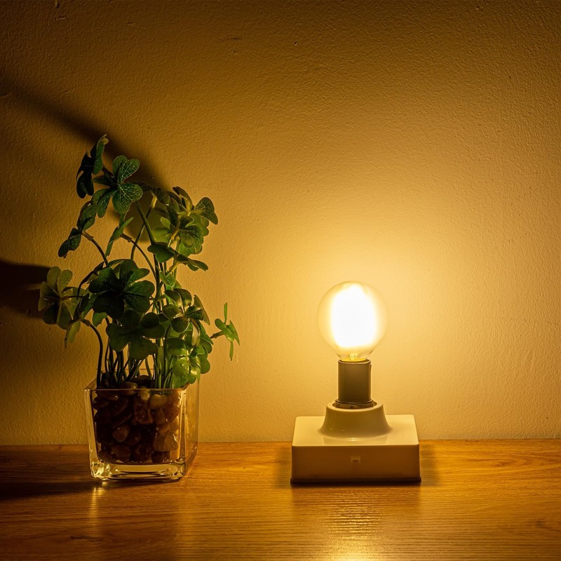Sunaiony G16.5 Light Bulb 40 Watt Equivalent E12 Candelabra Base