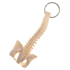 Sharplace Mini Handcrafted Human Spine Skeleton Model Keychain School Teaching Aid