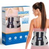 Physio Factory Lumbar Support